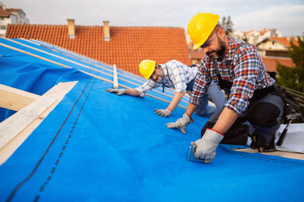 Best Roof Gutter Cleaning  in Delta, UT